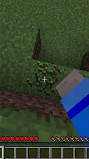 Weirdest speedrun in minecraft history #minecraft