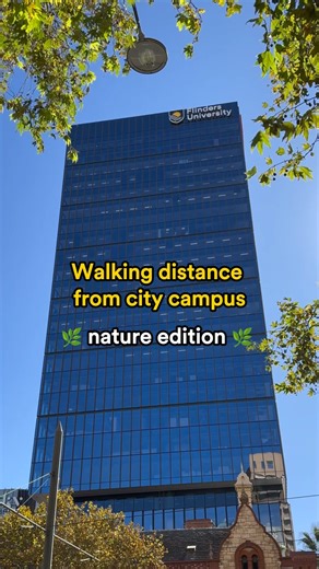 Need a break from the books? Our City Campus is surrounded by green spaces that are perfect for recharging your mind. 🌳 | Flinders University