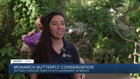 Home builders, conservation groups team up to help protect monarch butterflies