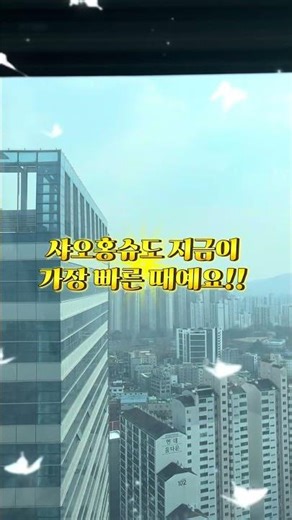 📌2026년 버전 따끈따끈한 신상 부업 추천!!!