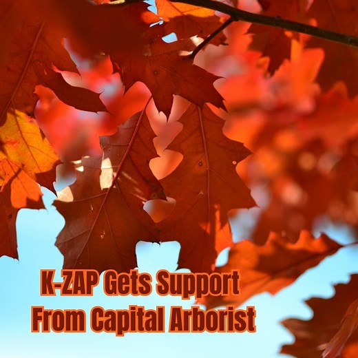 K-ZAP gets support from Capital Arborist 🌞 Mid-November Must-Do: Winterizing Irrigation & Protecting Plants in Sacramento With Sacramento’s mid-November bringing highs in the 60s, chilly nights in the 40s, and the first real rain chances, it’s time to winterize your irrigation system and shield vulnerable plants from frost. Here’s why it’s urgent now and how Capital Arborist can safeguard your yard: Why Winterizing Matters in Mid-November 🌾 - Prevent Pipe Damage: Freezing temps (even rare in Z