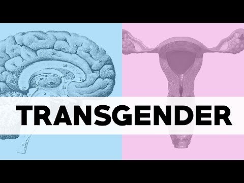 What Does Transgender Mean? - TLDR News