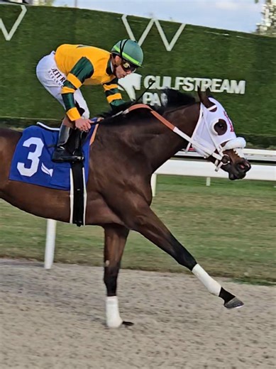 Irad Ortiz Jr. Completes Hat Trick at Gulfstream Park