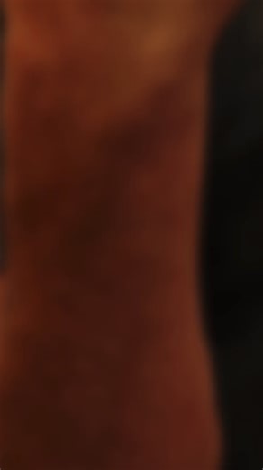 Sea turtle#tattoo #trending #tattooartist @RestInPiecesTattooStudio