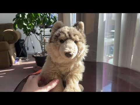 Returning to Kinztube 🐕 Intro Video