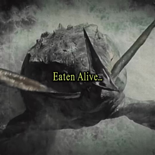 Quetzalcoatlus vs. Mosasaurus: Jurassic World Insanity!