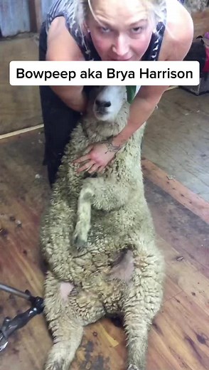 Girl Shearing Sheep: A Unique Farm Experience