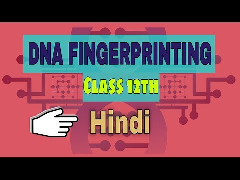 DNA Fingerprinting | DNA Fingerprinting class 12 | Be Educated