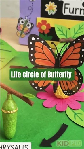 Life circle of Butterfly #shorts #shorts viral