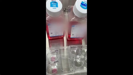 The Independent CRO Lab Technician video documented every methodological step of the experiment we ran in 90+ culture. Feel free to rebut the method or conduct the experiment to prove us wrong. 18 months and so far still no takers.