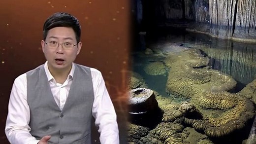 怪象大起底·百年石龙“复活”记