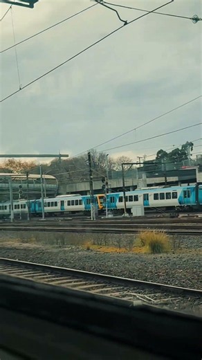 Australia Train — The Ride That Turns Ordinary Days Into Stories🇦🇺 #travel