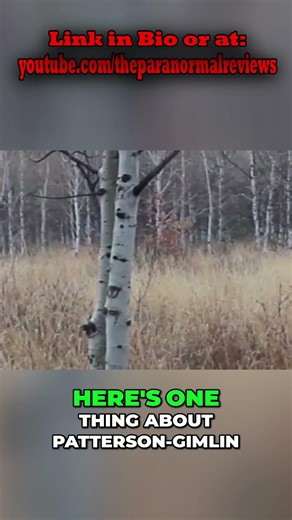 Bigfoot Gait Analysis: Patterson-Gimlin Film vs. New Footage #shorts