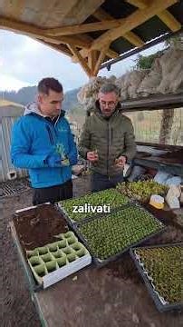 Imamo že prve sadike v papirnatih lončkih! 🌱