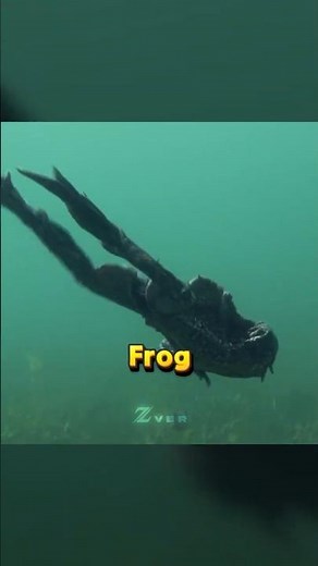 Why This Frog is a Fish