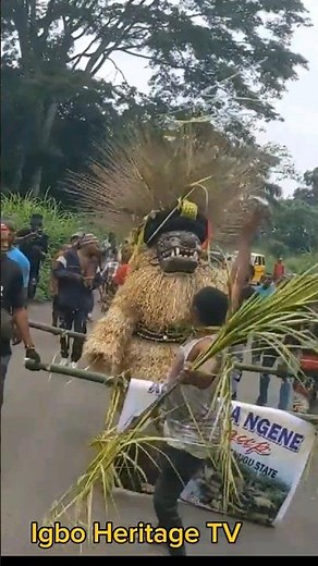 Guardians of Tradition: Nigeria's Masquerade Performers #igboheritage #igbomasquerade