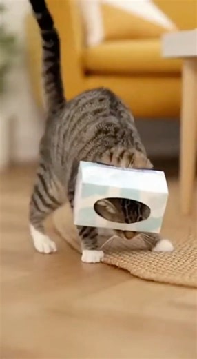 Cat gets stuck, Dog does the sweetest thing! 🥺#kitten #heartwarming