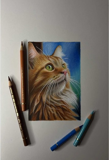 You like cats? My new drawing #4yp #viral #fyp #explore #4youpage #viralvideo #اكسبلور #foryoupage #drawingtutorial #4yourpage
