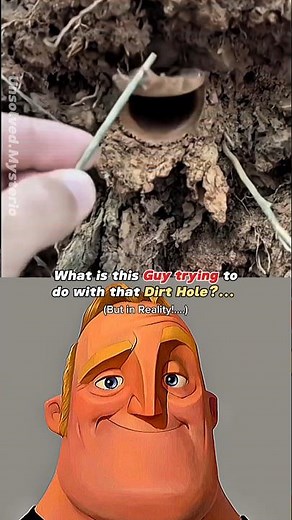 How Spiders actually build their nests! #shorts #youtubeshorts #science #fyp #nature