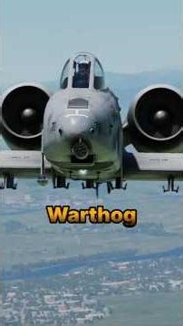Wingman can't find my A-10 suffers from Bird Blindness