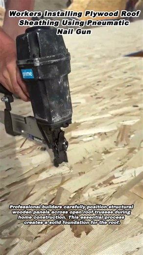 Workers Installing Plywood Roof Sheathing Using Pneumatic Nail Gun