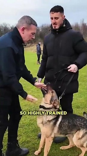 Tom Aspinall on Olympus | Family Protection Dogs UK | TOTAL K9®