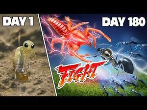 Simulating an Ant Colony for 180 Days 😱 ANTTREK