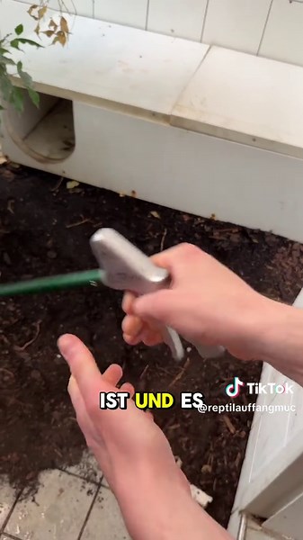 Einblicke in den Alltag eines Tierpflegers bei der Fütterung