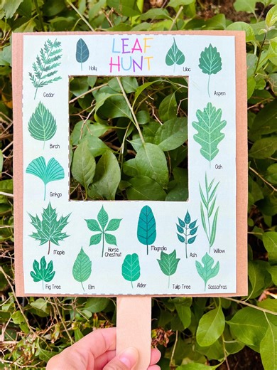 Leaf Hunt Printable: Preschool Nature Learning Activity (digital Download) - Etsy