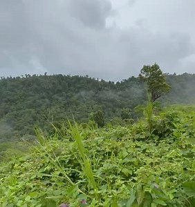 The Marion Jones on Reels