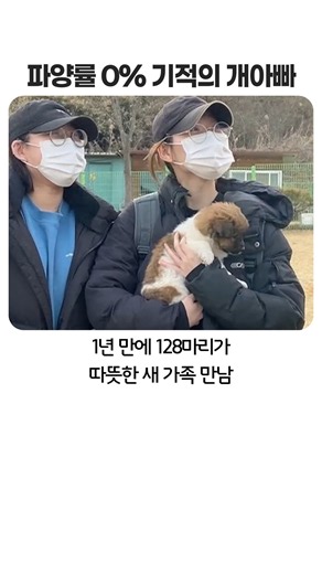 안락사 직전의 들개 5마리를 산골짜기로 데려간 남자의 소름 돋는 정체