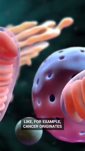 Healthy Lifestyle Hacks 🥗💪 | Simple Tips for Everyday Wellness Transform your daily routine with easy healthy lifestyle tips—eat better, move more, and feel amazing every day! 🌿✨ #healthylifestyle #wellnessjourney #fitnessmotivation #eatclean #mindfulness #selfcare #healthyhabits #nutritiontips #wellbeing #fitlife | Diet & healthy By Dr