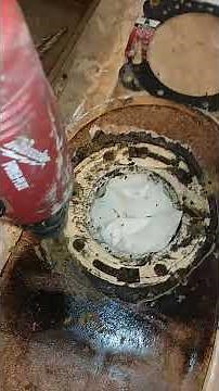 Toilet flange repair