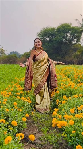 S.T Waykar fancy sarees on Instagram: "✨Saree code-ST24 ✨Website Booking-stwaykar.in ✨Price-1999 ✨Navribai kathpadar saree with shela"