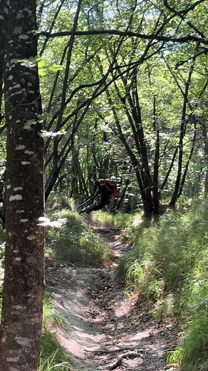 Enduro Downhill MTB 2026: Trek Bikes Enduro & Downhill Highlights