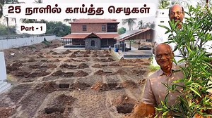 🎥 Full video in bio 🎞️ 🤯 ஒரு மாதத்திலேயே Mango Flowering? This is real. These mango trees were planted as large, fruit-ready plants, not saplings. The key is not the variety alone, but how you plant it. We avoid auger drilling because it restricts root movement. Instead, deep and wide pits help the roots expand naturally. Soil preparation, bio-inputs, termite protection, and immediate deep watering are equally important. Even rare varieties like Miyazaki and Red Palmer adapt well in open Tami