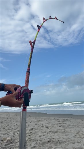 Chris Stefanou on Instagram: "🤔What's on the line🤔 #fishing #shark #fun #beach #sharks #sharkfishing #newyork #lisharkman #fish #fishing #shark #sharks #waves #florida #longisland #beach #fun #ocean #tagandrelease #summer #crazy #viral #sharkfishing #1stphorm #xpece"
