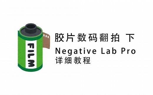 老少皆宜的Negative Lab Pro翻拍超详细教程