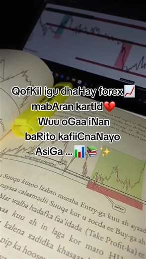 ‏#forex #tradingforex #tradingview #moalimuu #somlitiktok