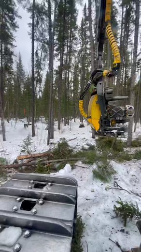 Tigercat 855 vs Ponsse H8: A Comparison in Forestry Equipment