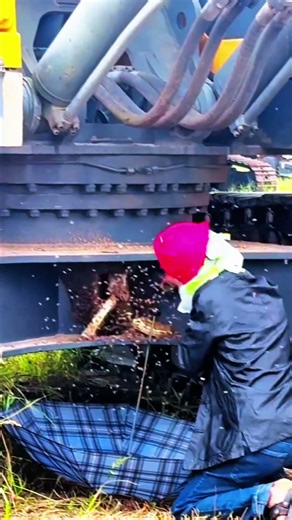 Bees- Nest Destroyed Under Heavy Machine | Shocking Beehive Removal !