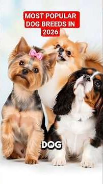 Most Popular Dog Breeds 2026
