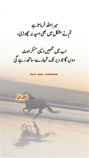 Beautiful Words #islamicvideo #islamicshorts #islamicreminder #muslimcontent #shortsfeed #shorts