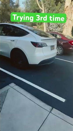 Perfect Loops: The Art of Endless Animation