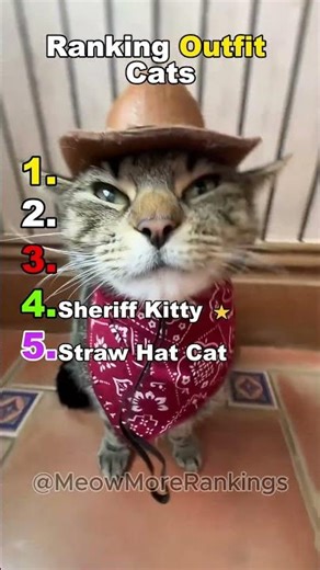 ranking outfit cats #catvideos #cat
