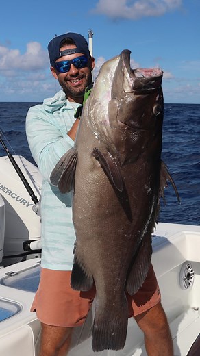 JD Martinez on Instagram: "Sometimes you’ve gotta go way off the edge to find what you’re chasing… Warsaw grouper, bucket list catch. #warsaw #pulleyridge #bucketlist #deepdropping"