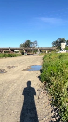 Small Willy, Big Dreams: Embrace Your Unique Journey