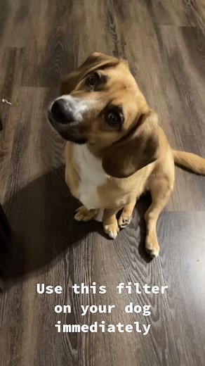 Janna M Flory (@jannamflory)’s videos with Daylight - David Kushner