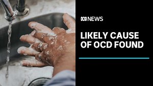 Researchers find likely cause of obsessive-compulsive disorder | ABC News - The Global Herald