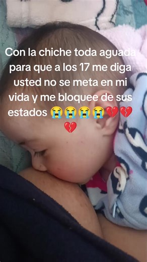 Como ver estados de WhatsApp si estás bloqueado